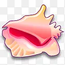 牡蛎贝壳