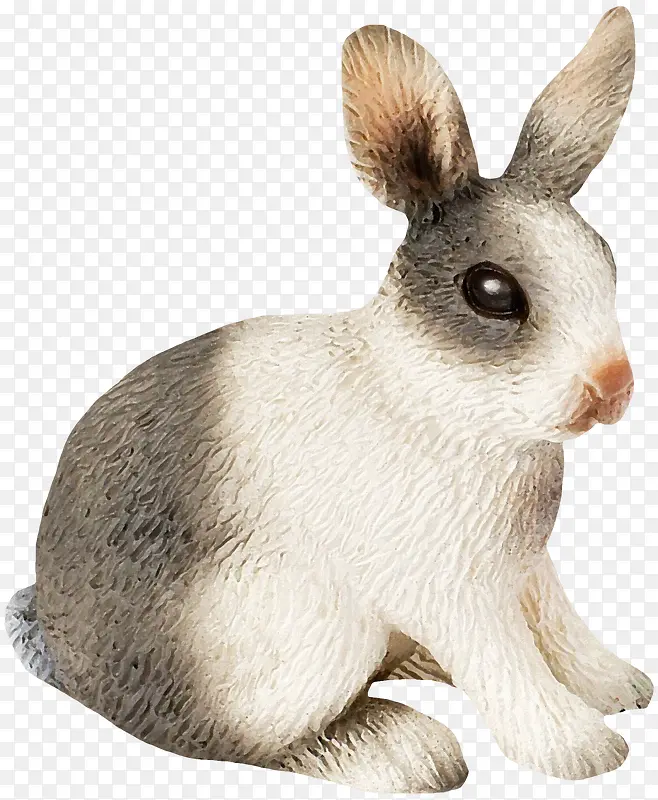 可爱兔子素材