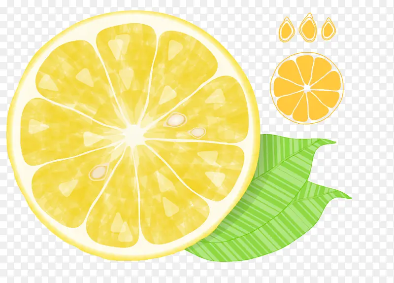 矢量手绘柠檬2个柠檬