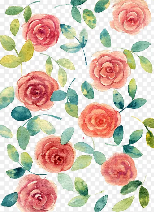 月季花壁纸