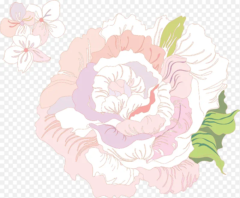 浅色月季
