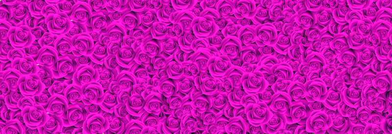 粉紫色玫瑰海报背景七夕情人节