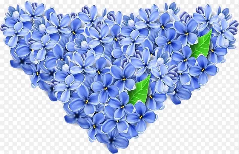 效果植物海报蓝色花朵