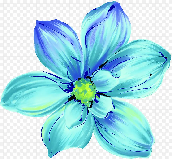 蓝色花朵贵宾卡图片
