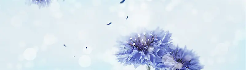 雪花背景蓝色花朵