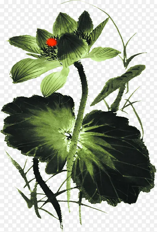 手绘绿色荷花装饰