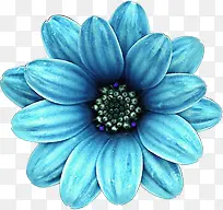 蓝色卡通植物花朵