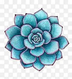 蓝色花朵手绘插画