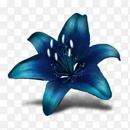 蓝色花朵贝壳和蝴蝶PNG图标