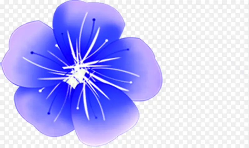 蓝色精美水彩花朵