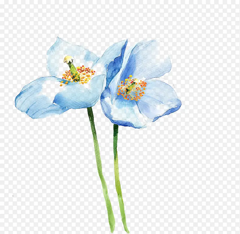 蓝色手绘水墨花朵