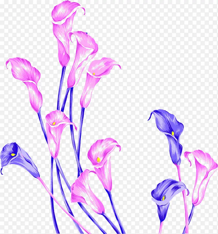 粉蓝色手绘花朵海报