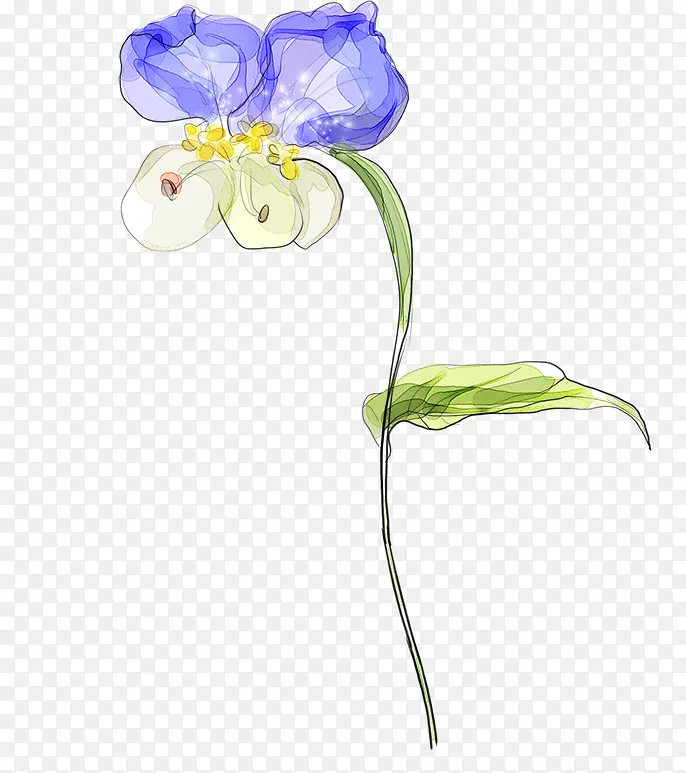 彩绘抽象花朵蓝色花朵