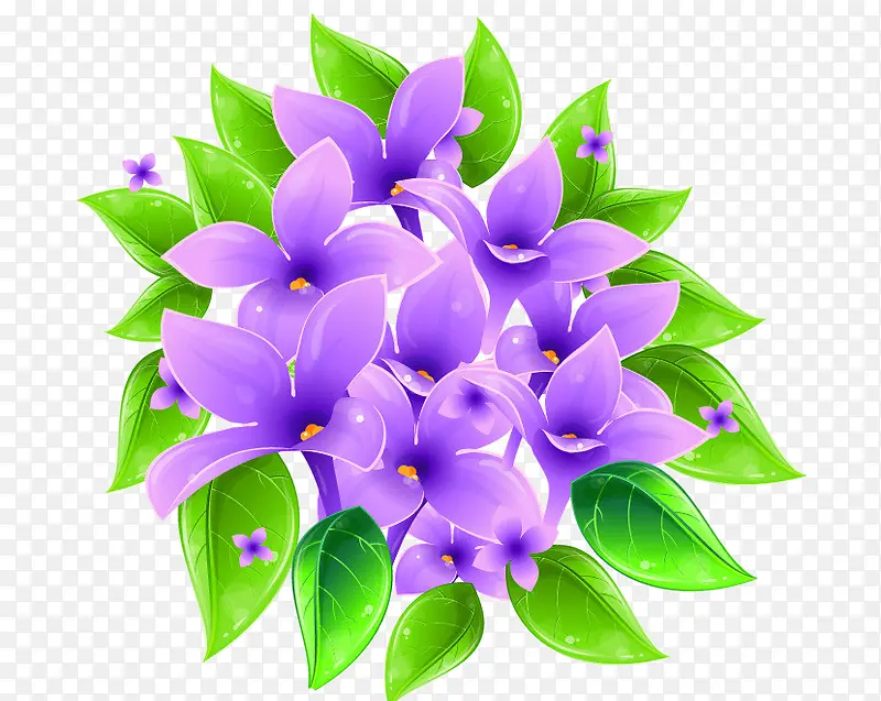 紫罗兰花矢量图