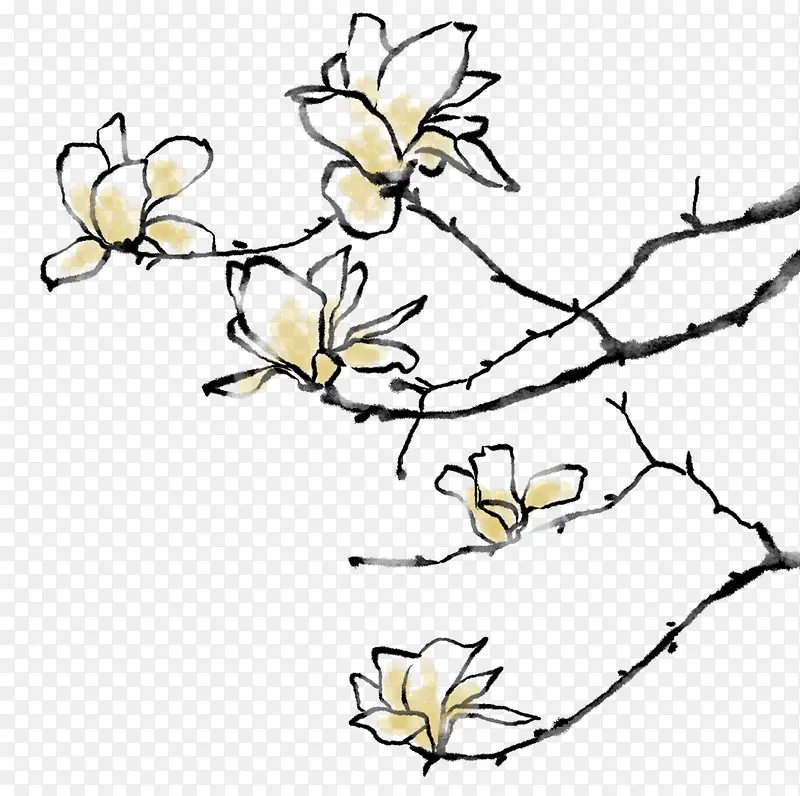 美丽的木兰花PNG图片素材下载_图片编号10505270-PNG素材网