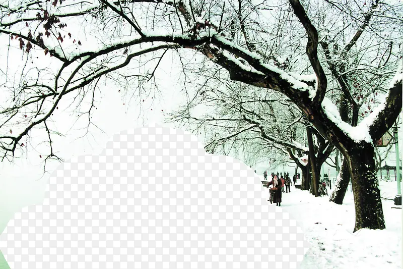 雪盖树枝水墨风格