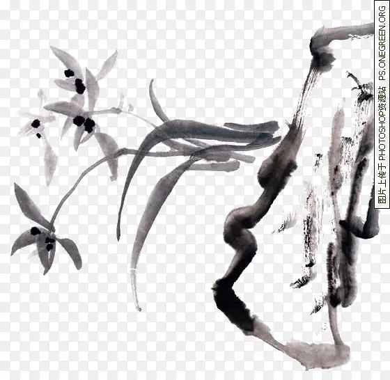 一枝兰花PNG图片素材下载_图片编号10505072-PNG素材网