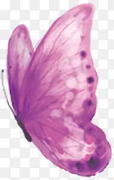 创意海报教师节紫色蝴蝶