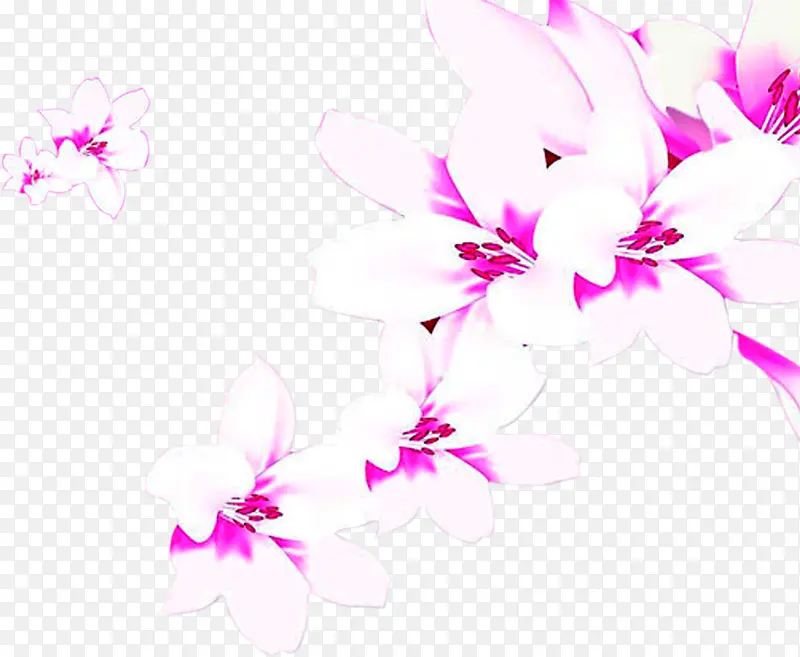 创意海报教师节植物花朵效果