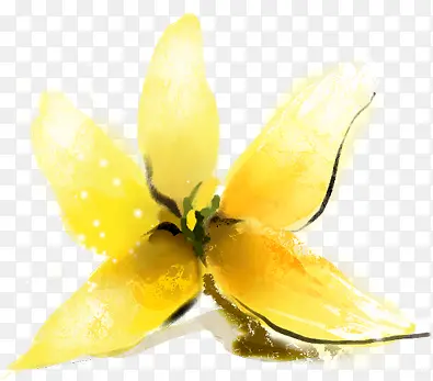 手绘黄色花春季素材