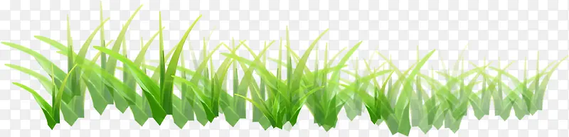 绿草春季素材图片