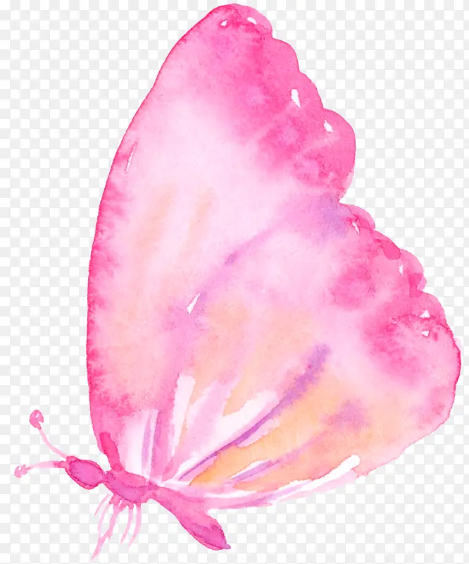 粉色手绘蝴蝶