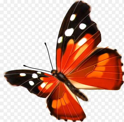 高清手绘合成橙色的蝴蝶