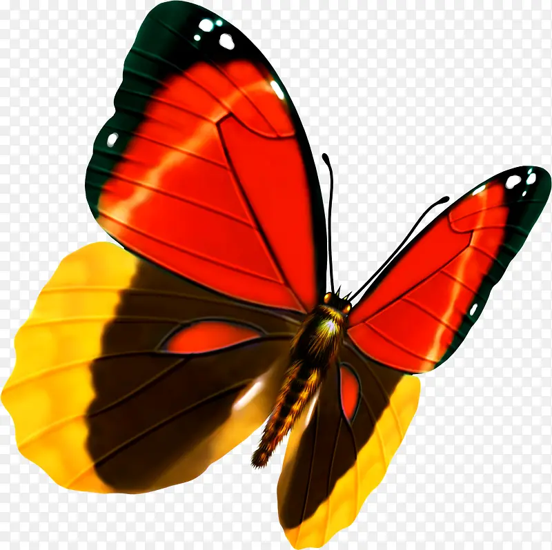 创意手绘扁平飞舞的蝴蝶造型