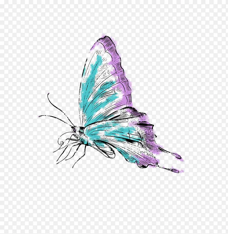 手绘蓝紫色水彩蝴蝶