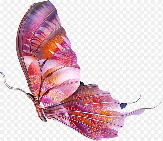 手绘创意鲜艳的飞舞的蝴蝶
