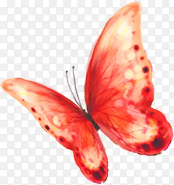 创意手绘水彩红色的蝴蝶