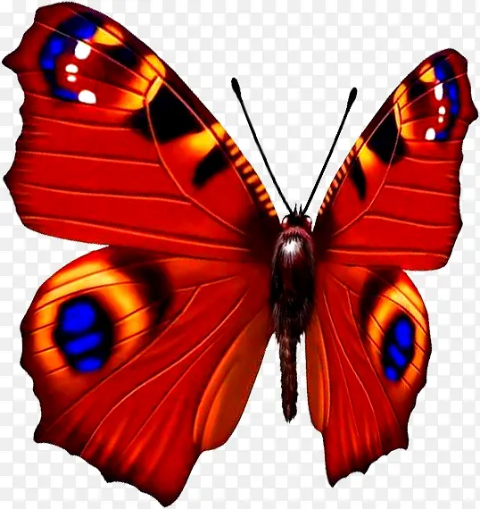 扁平手绘合成红色的蝴蝶