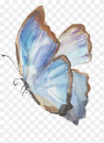 蓝色水彩手绘蝴蝶装饰