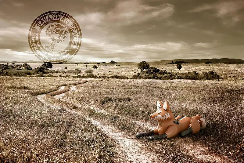 荒野狐狸气球海报背景
