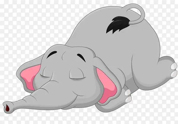 睡觉的小象