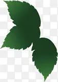绿色手绘树叶装饰海报