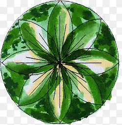 手绘绿色树叶造型平面