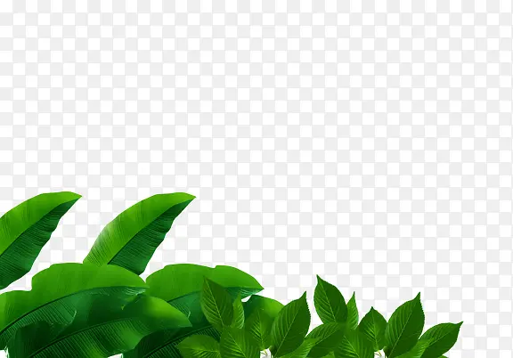 绿色手绘植物树叶