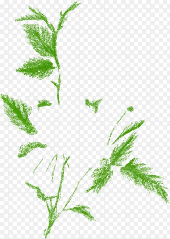 绿色手绘艺术树叶植物