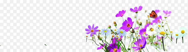 紫色小碎花春天素材图片