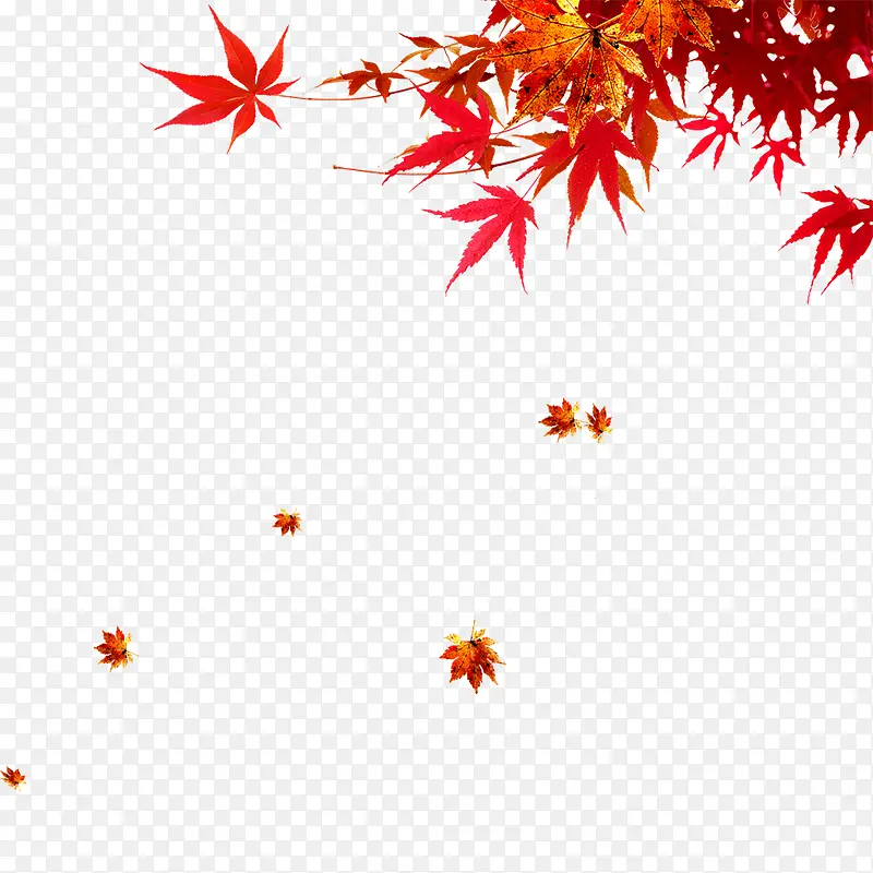 手绘红色漂浮树叶