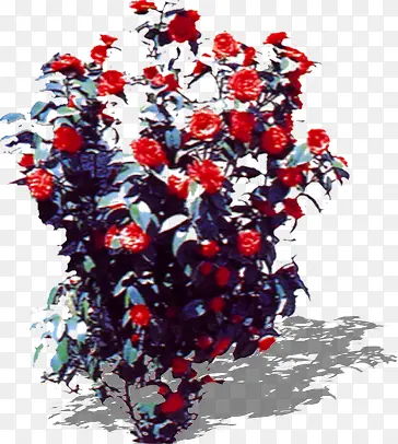 红色梦幻花朵植物装饰