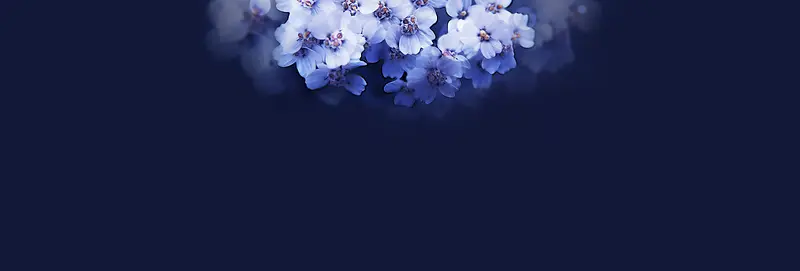 梦幻花朵背景banner