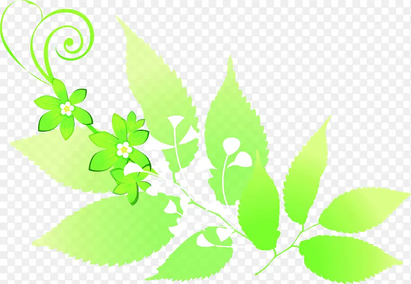 绿色梦幻植物花朵