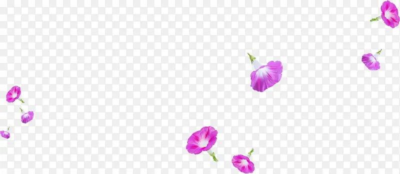 紫色漂浮可爱喇叭花