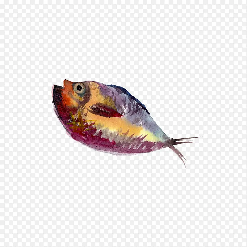 水彩活鱼