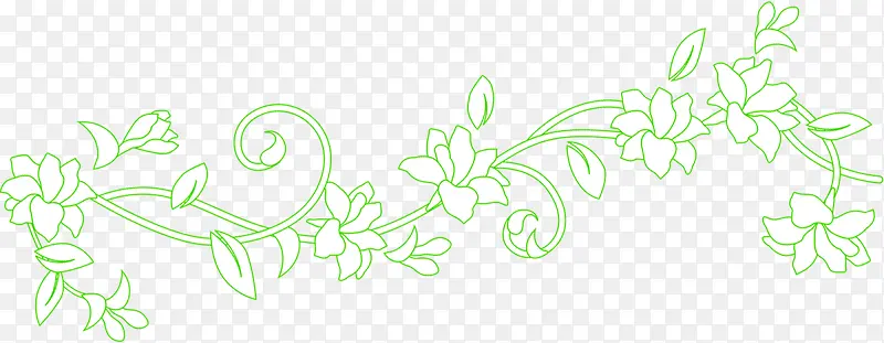 绿色线条花朵边框