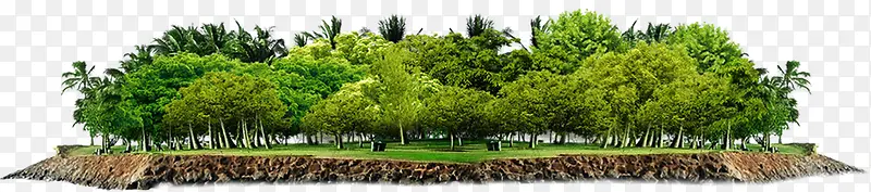 绿色树木边框装饰