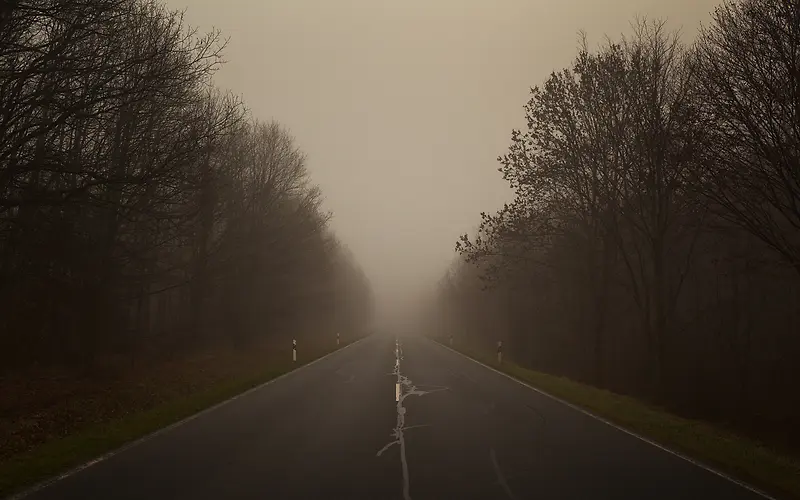 树林雾霾高速公路