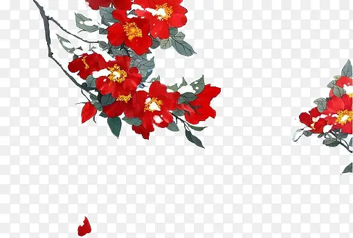 红色花朵花枝彩绘图片